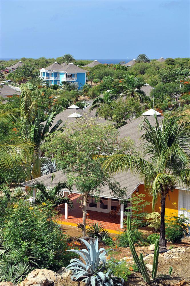 Chogogo Resort Curacao Extérieur photo